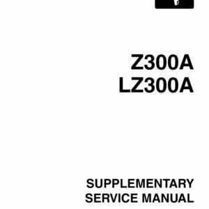 Z300AETO_6D0_28197_3F_1X